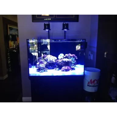 Kessil A360 zeewater