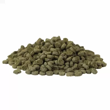 Hikari Marine Seaweed Small Pellet 100 gr