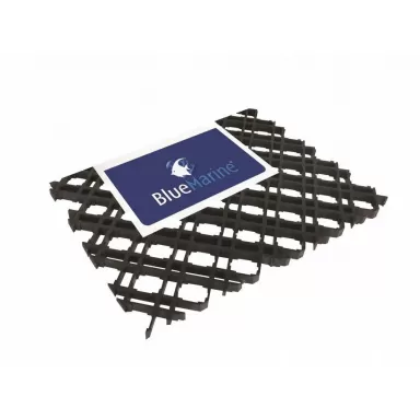 Blue marine coral rooster 39x43 5