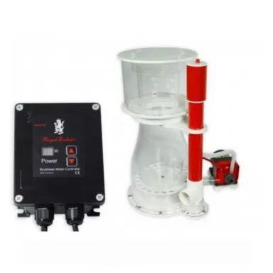 Royal exclusive Double Cone 250 internal RD3 60W