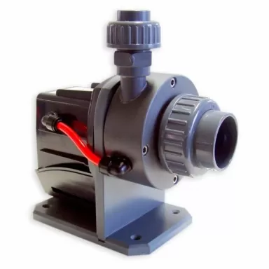 Royal exclusive Red dragon 10m3 VS 08 AKB