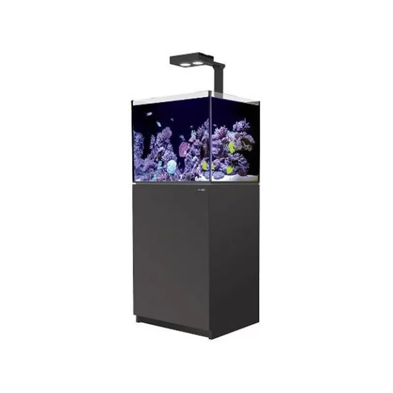 Red Sea Reefer 170 Deluxe zwart 7290100776803