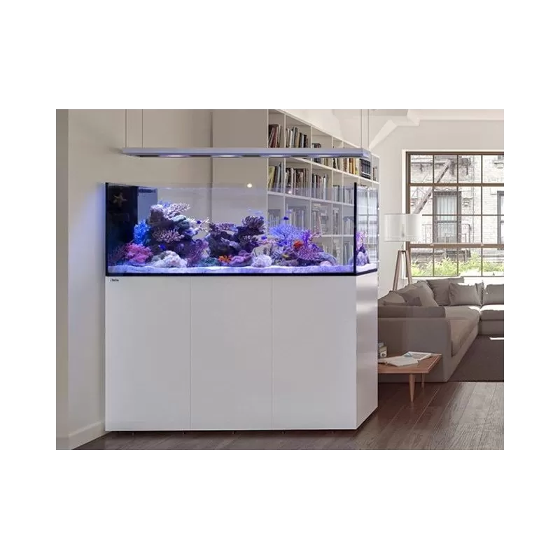 Red Sea Reefer Peninsula P500 zwart - 7290100779903