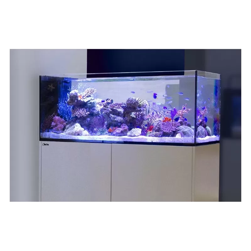 Red Sea Peninsula P500 Deluxe zwart - 7290100774464