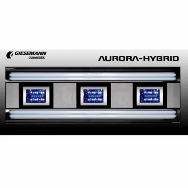 Giesemann Aurora  Hybrid 600