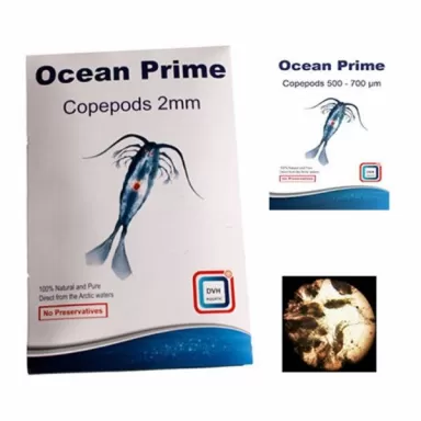 Ocean prime copepods 2mm