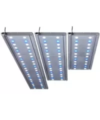 LED verlichting