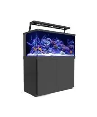 Komplettes Aquarium