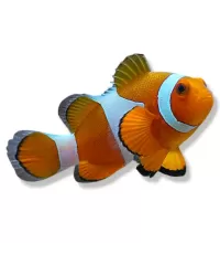 Meeresaquarienfische