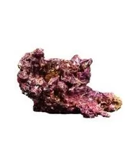 Real Reef Rock