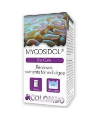 Rode Flap Cyanobacteriën